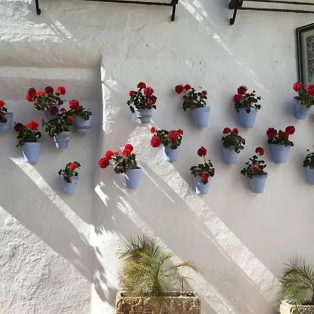 Sweet Centro Appartement